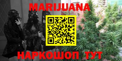 стаф Новозыбков