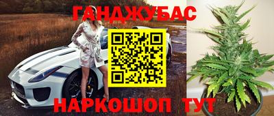 стаф Новозыбков