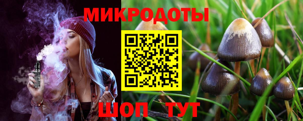 Псилоцибиновые грибы Psilocybe Ртищево