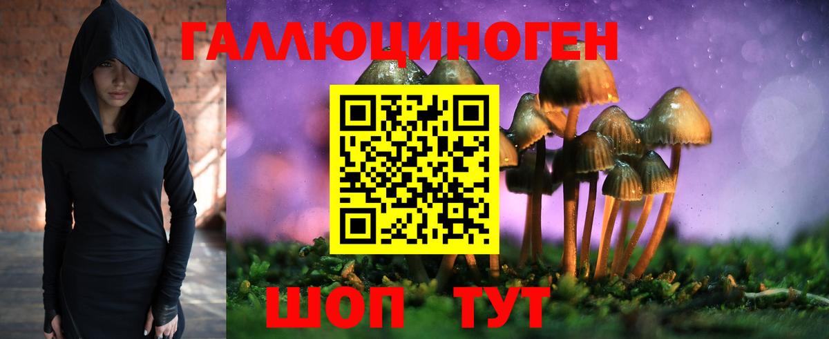 Ртищево  Псилоцибиновые грибы Psilocybe  Вход с VPN  Псилоцибиновые грибы Psilocybine cubensis 